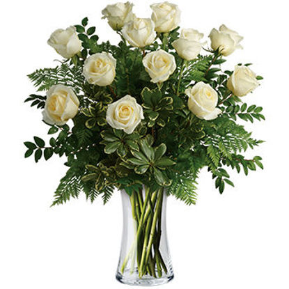 Joy of Roses