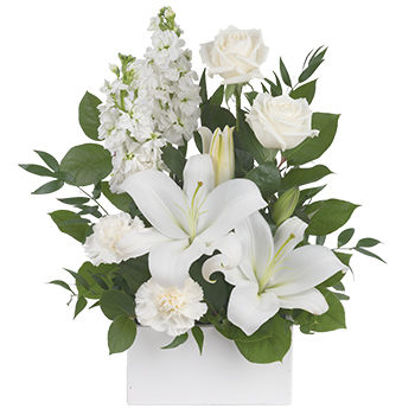 White Simplicity