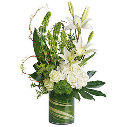 Botanical Beauty